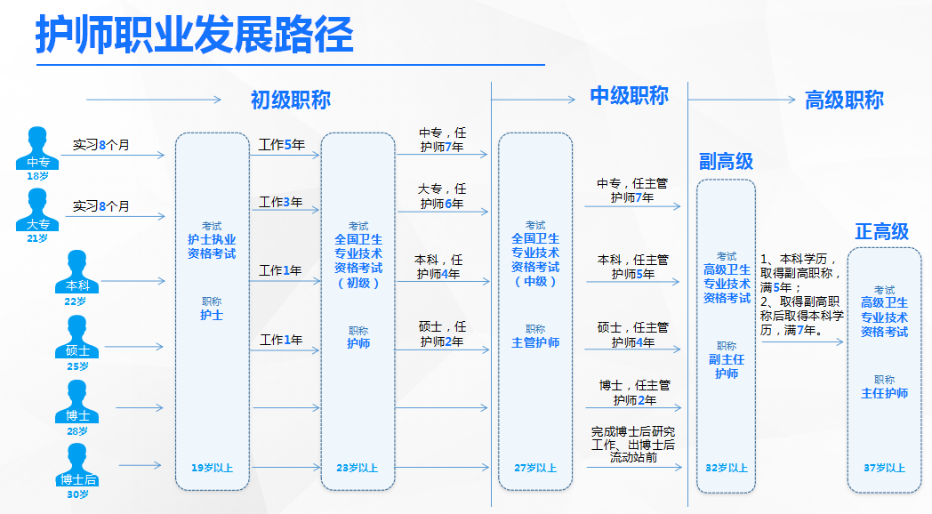 护士职业发展.png